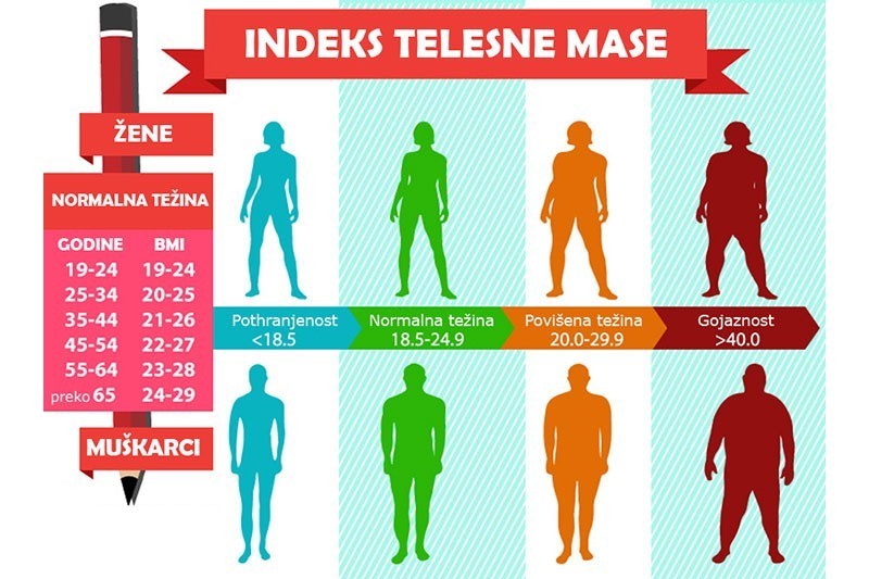 Indeks telesne mase (BMI) | Dijeta.net